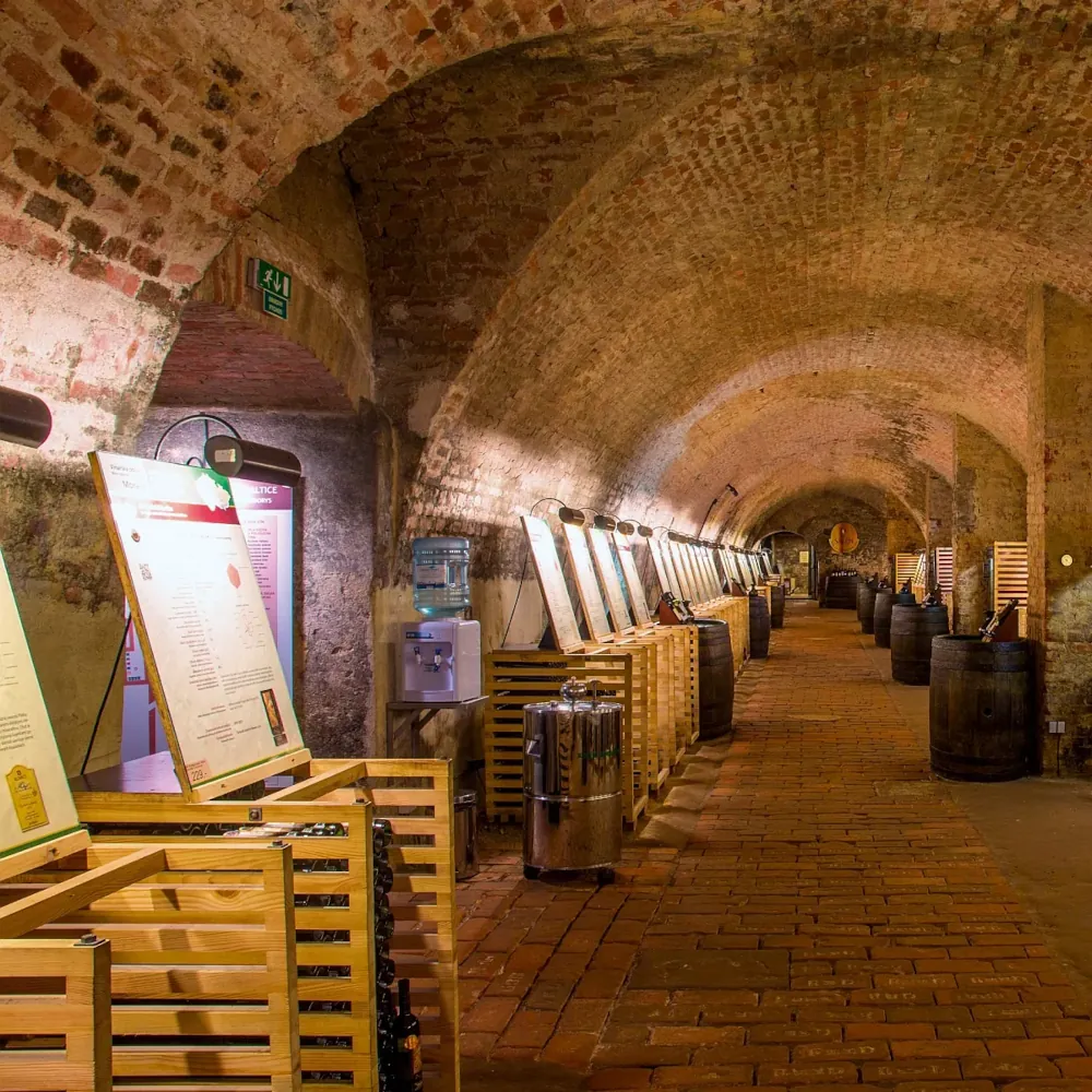 체코 프라하 모라비아 프리미엄 와인 직구